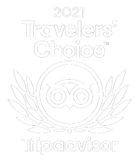 Busy Blue Bus Wins Tripadvisor Travelers Choice Award 2021