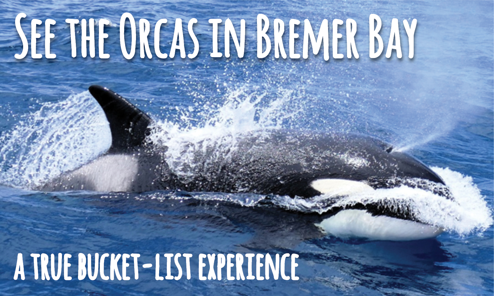 Bremer Bay Canyon Tour to experience the amazing Orcas