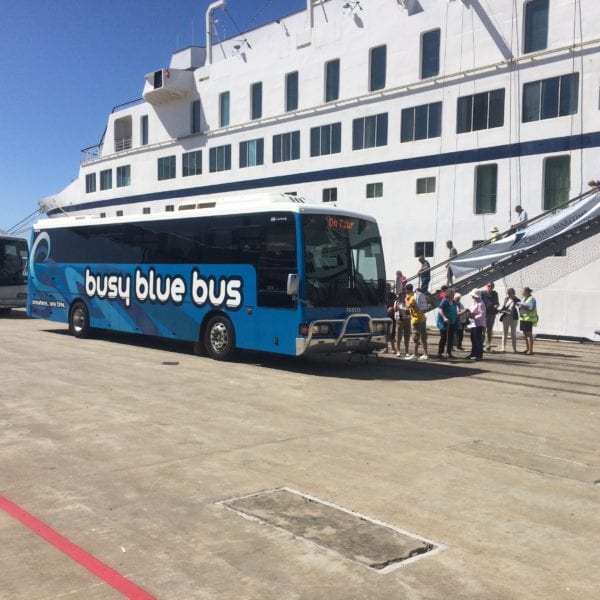 cruise ship Busy Blue Bus coach at Albany Port loading passengers from cruise ship