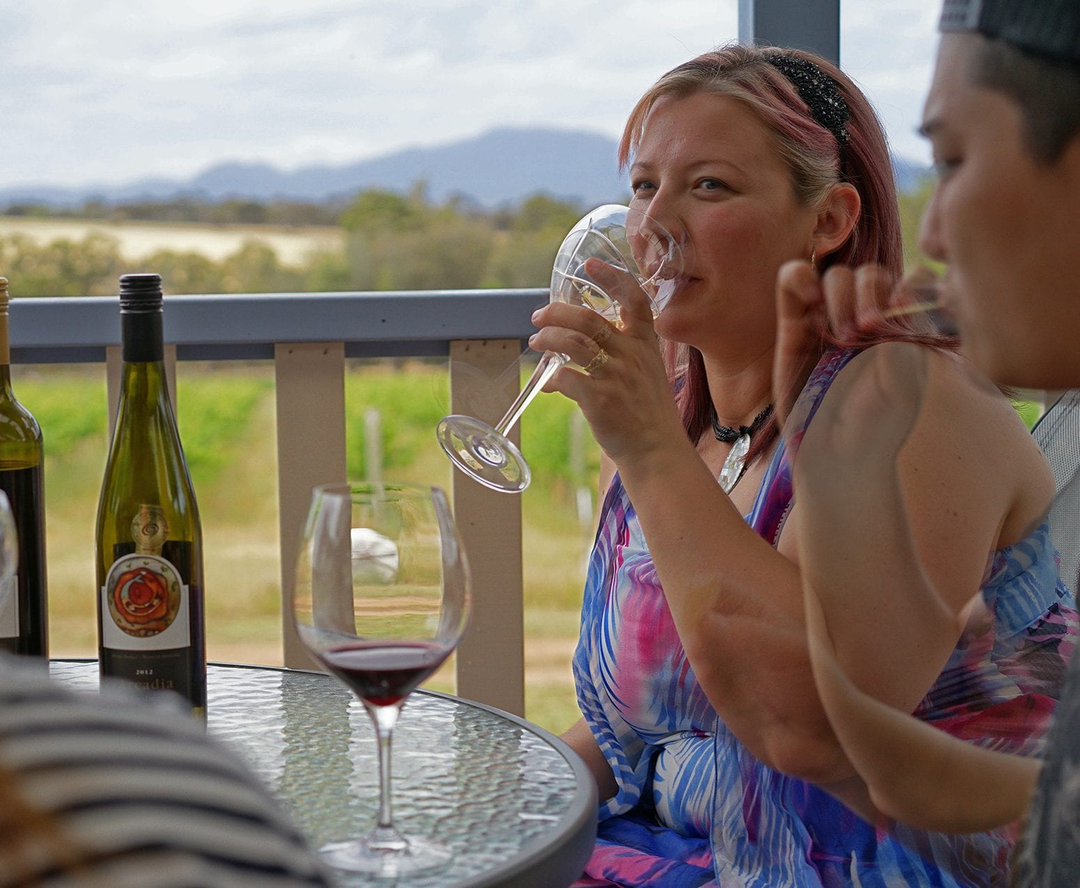 Day tour views to Porongurup Ranges from veranda at Arcadia Wines