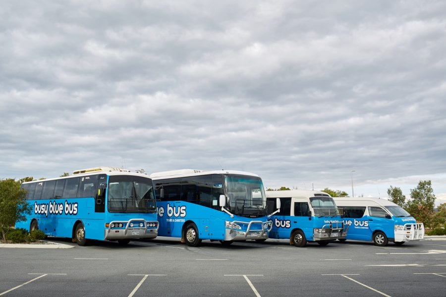 four Busy Blue Bus buses of varying sizes